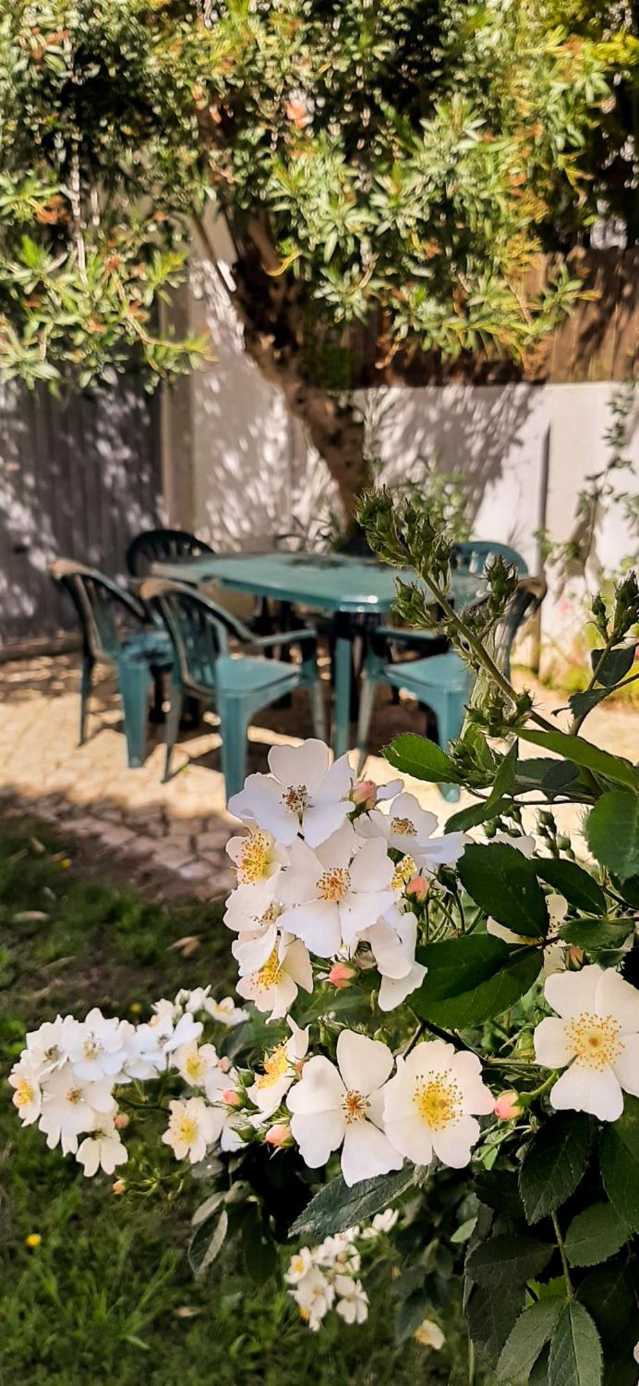 Villas Boas House Caparica 2 Кошта-да-Капарика Экстерьер фото